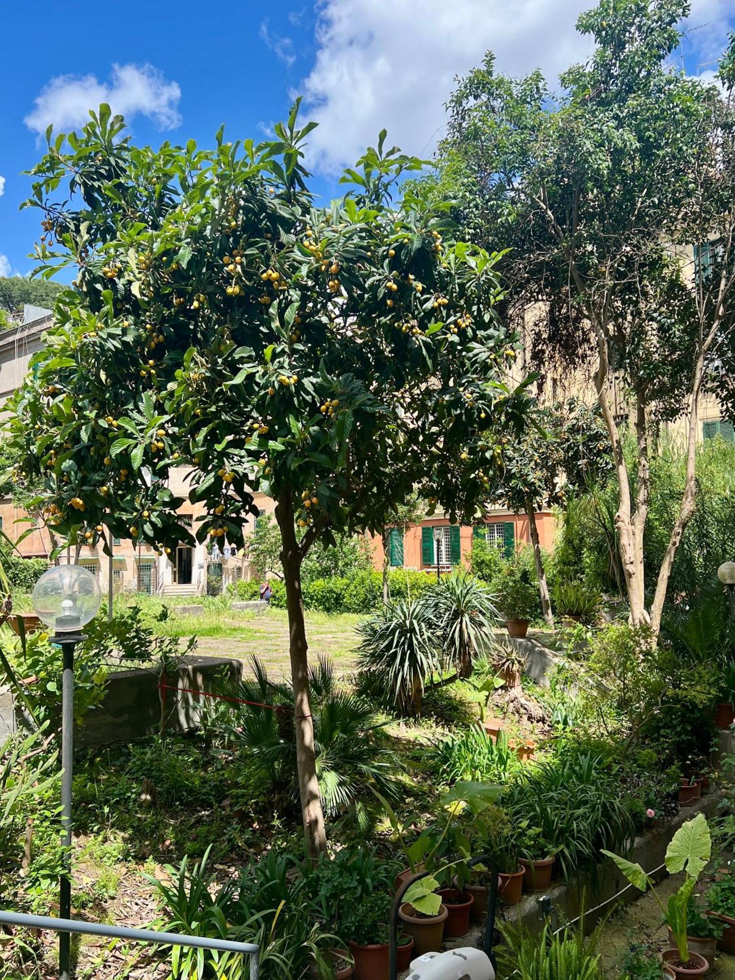Appartement Al Lotto 27 Garbatella Storica Rome